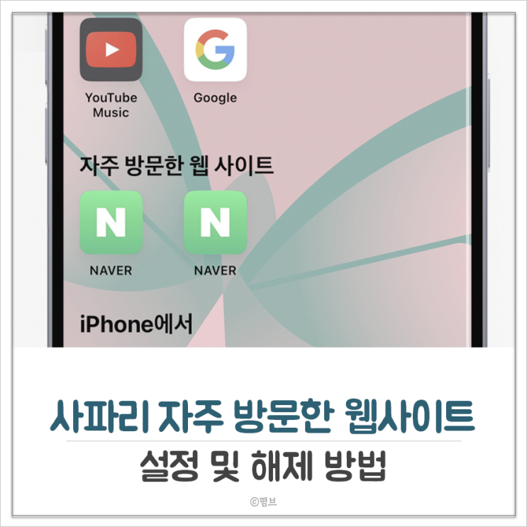  사파리 자주 방문한 웹사이트 설정 및 해제 방법