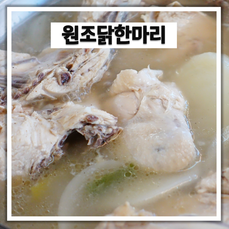  서울 양재 맛집: 뜨끈한 국물 땡길 땐 원조 닭한마리