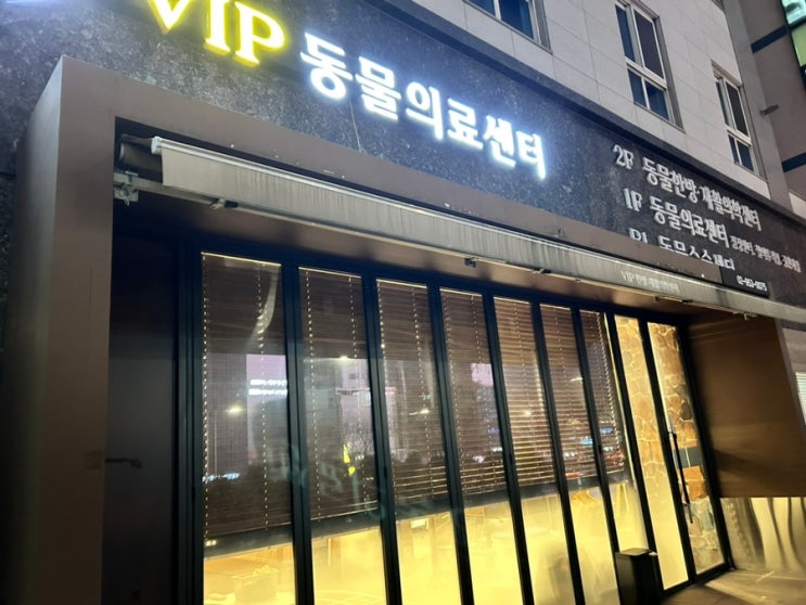  강아지 다리떨림 절음 재활 3주차 치료일기
