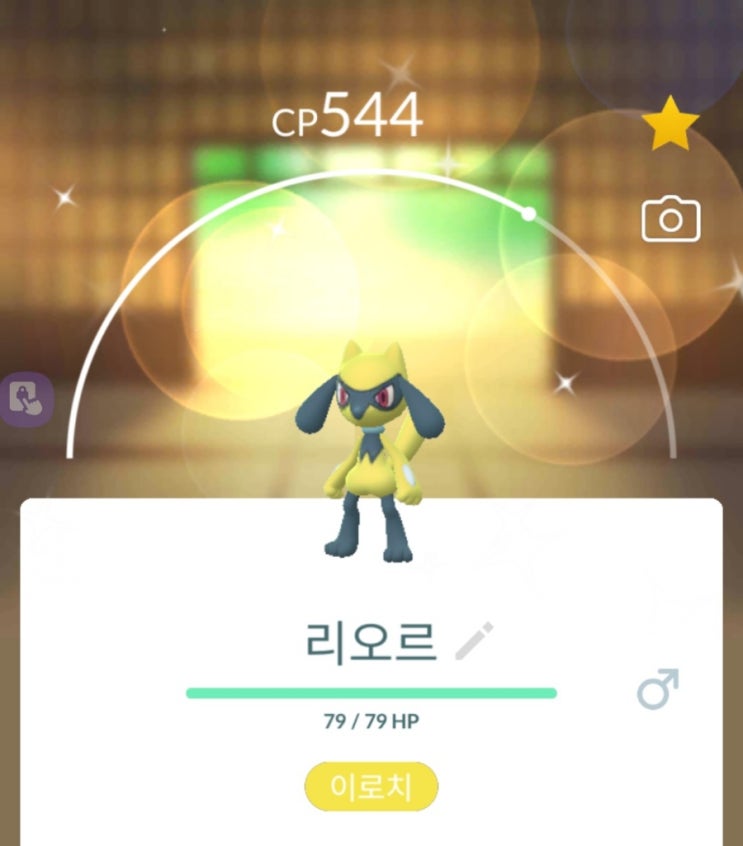  포켓몬고 오랜만에 얻은 이로치들 / 이로치 리오르 2마리 째 획득!