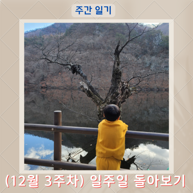  22년 12월 3주차 주간 점검, 나의 목표 잘 실천하고 있나?