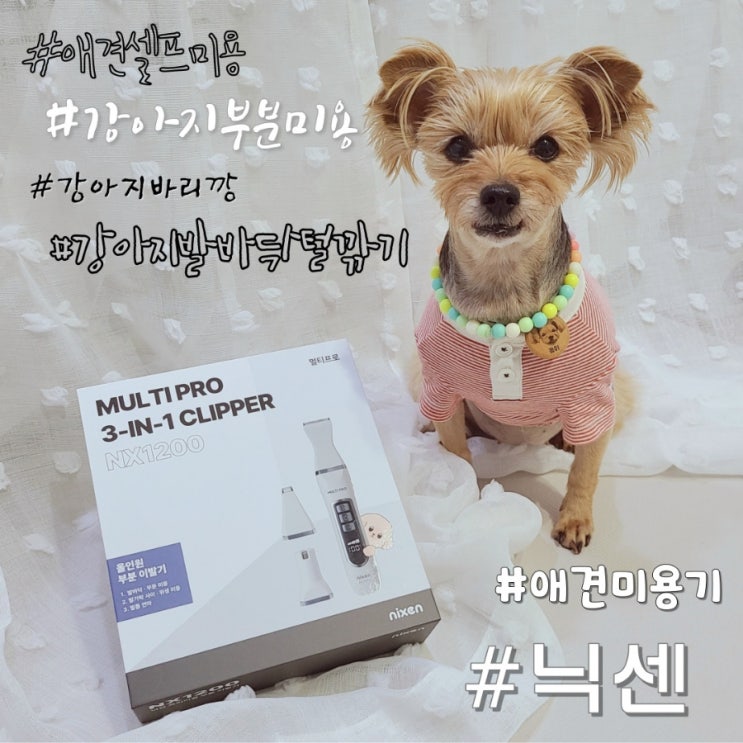  애견미용기 닉센 강아지 발바닥털 깎기 부분미용 tip
