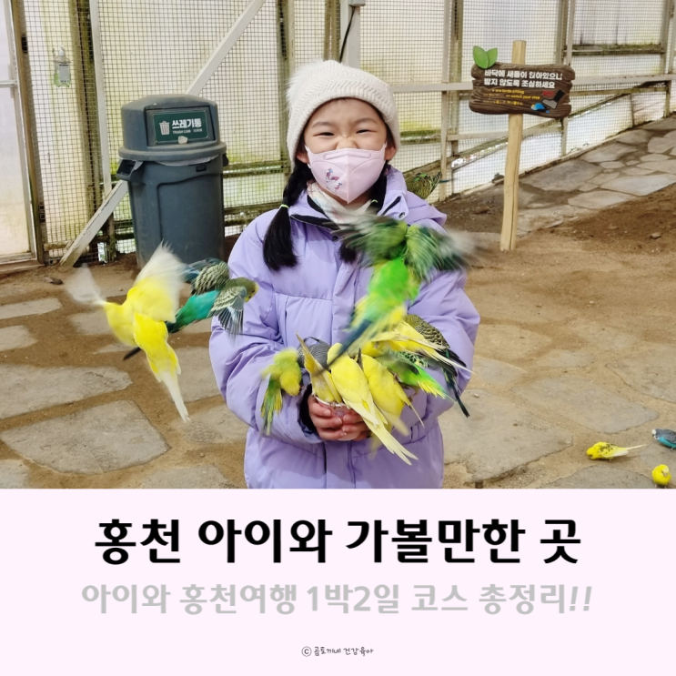홍천 아이와 가볼만한 곳, 홍천여행 1박2일 코스 총정리 홍천 아이와 가볼만한 곳, 홍천여행 1박2일 코스 총정리