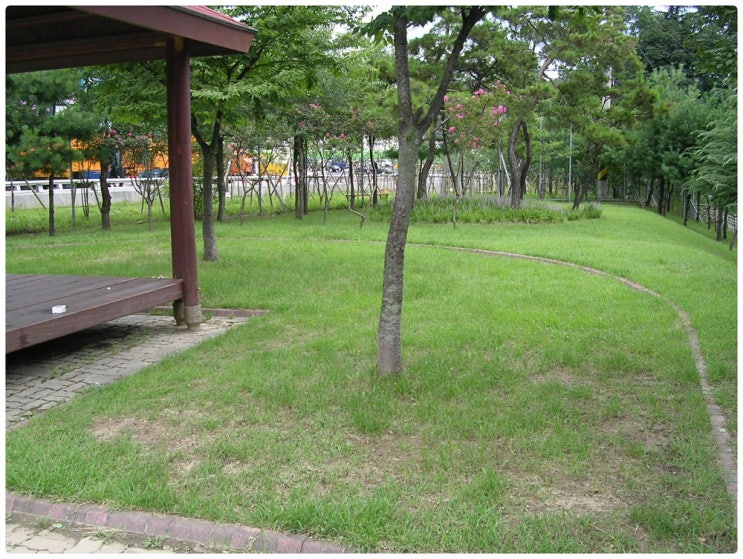 (주)잡초바이오에서 개발한  '잔디생육환경개선제' 란 무엇인가 (feat. 발명 배경 2)