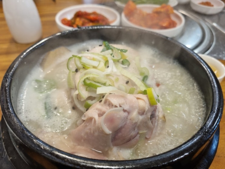  [정자] 정자역 점심 삼계탕 닭도리탕 정자한방삼계탕