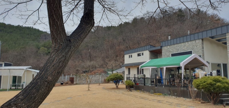 사진 2