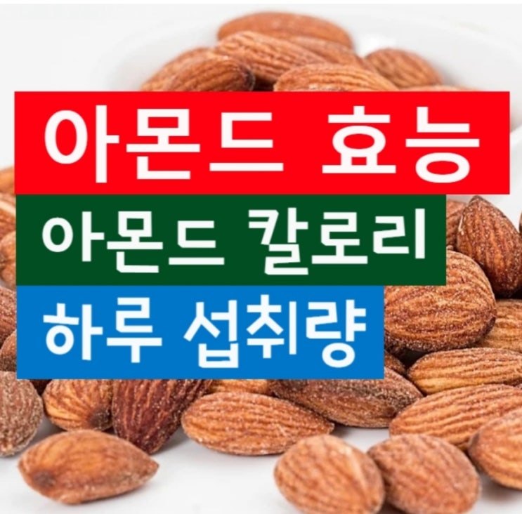  아몬드 효능과 칼로리 아몬드 하루 섭취량