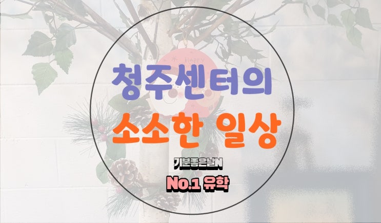  넘버원유학 청주센터의 소소한 일상