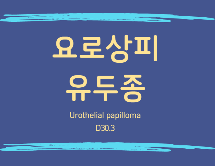  D30.3 요로상피유두종( urothelial papilloma) 양성종양진단과 유사암진단비 보상!