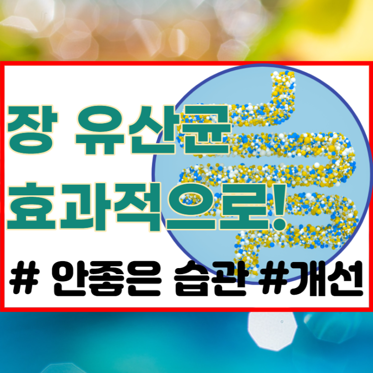  장유산균, 죽이는 식습관과 좋은 습관 주의사항까지 모두!