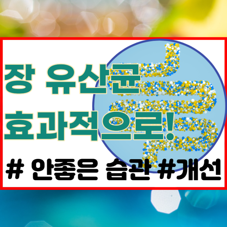 장유산균, 죽이는 식습관과 좋은 습관 주의사항까지 모두!