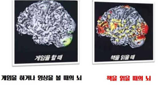  독서를 많이 하는 아이가 왜 공부를 잘할까요?양산책나무증산점