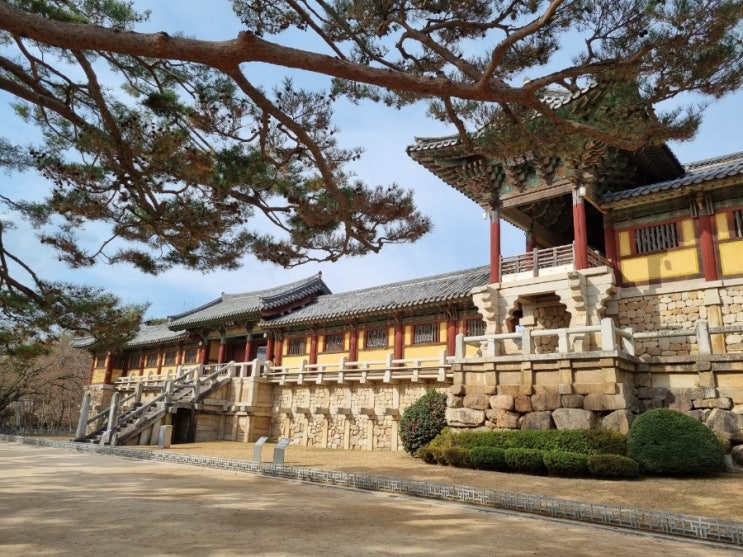  [경주여행]불국사 다녀왔어요(단풍, 입장료, 주차비)