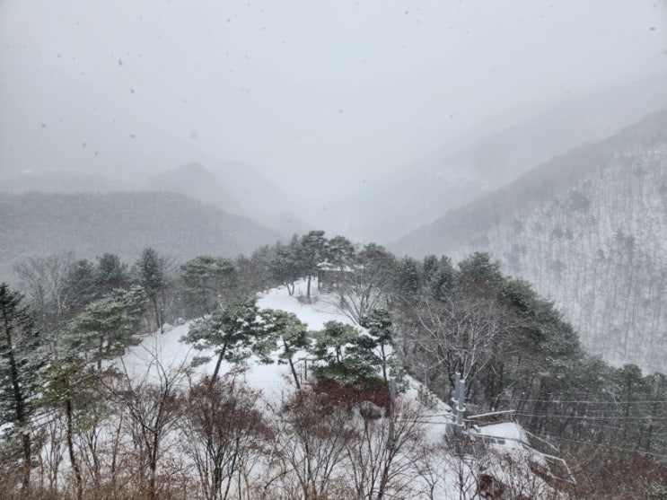  대둔산자연휴양림(진산자연휴양림) 전망 좋은 까페 "함박눈이 오는 겨울풍경"