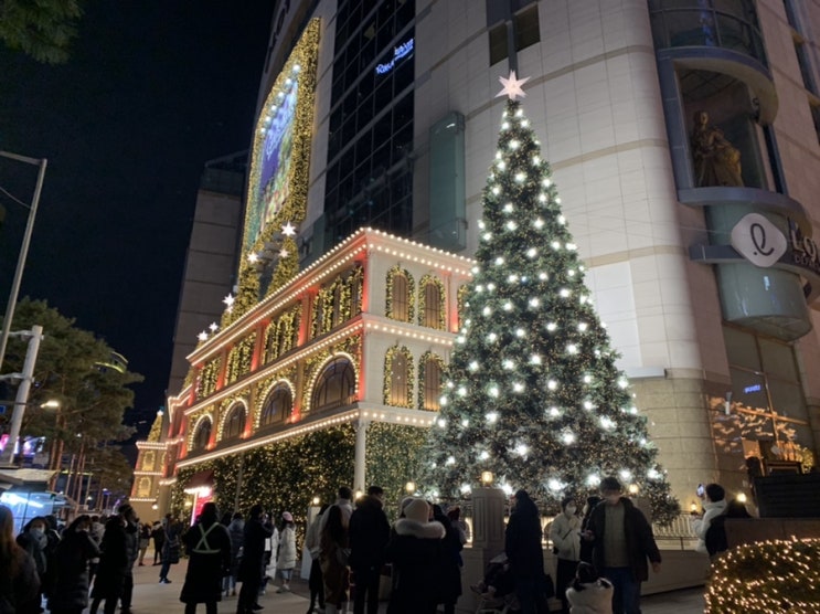 서울 명동 롯데백화점 크리스마스 트리 야경 명소 서울 명동 롯데백화점 크리스마스 트리 야경 명소
