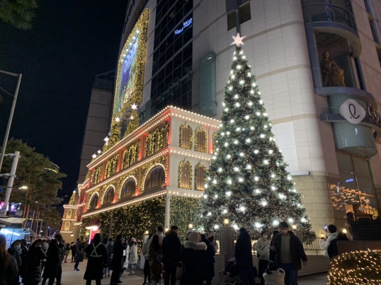 서울 명동 롯데백화점 크리스마스 트리 야경 명소