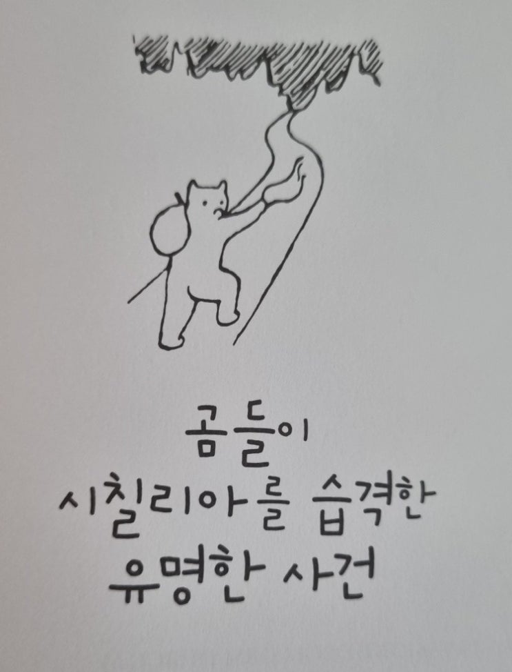  곰들이 시칠리아를 습격한 유명한 사건