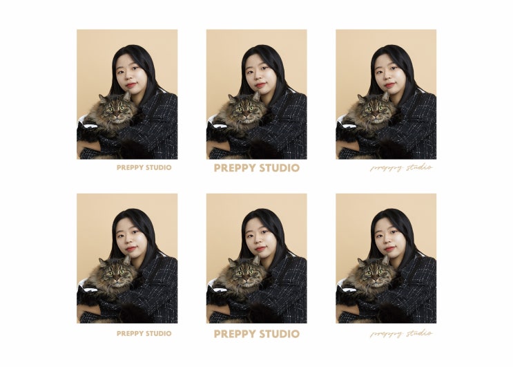 고양이와 함께 가족사진 찍기 좋은 '반려동물 스튜디오 프레피스튜디오' 솔직한 후기