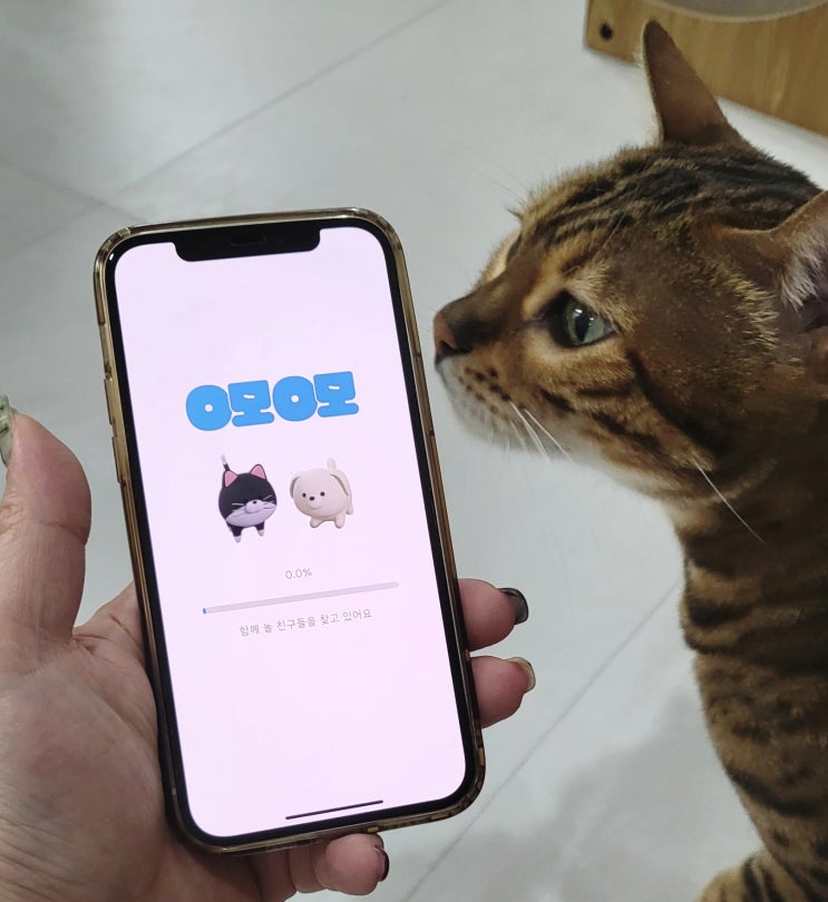 신개념 반려동물커뮤니티 O모O모(오모오모) APP 만나봐요