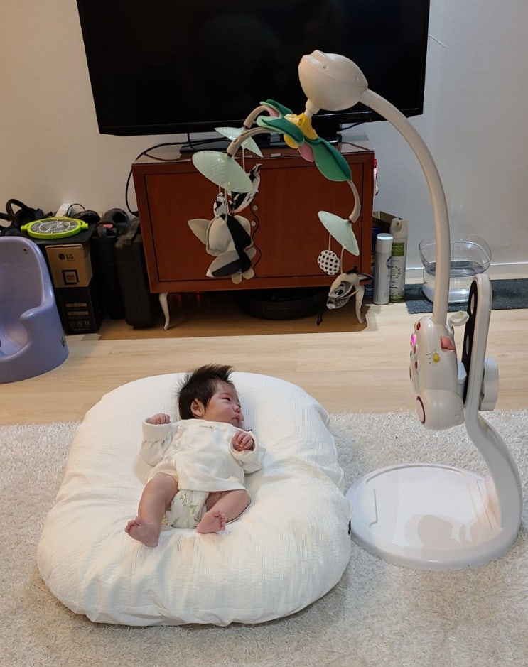  제이앤제나 역류방지쿠션