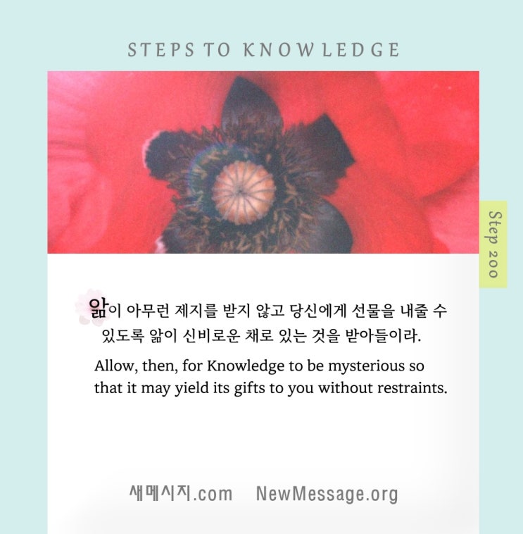 제 200 계단: 나의 생각은 앎을 담기에는 너무 작다 My thoughts are too small to contain Knowledge. 제 200 계단: 나의 생각은 앎을 담기에는 너무 작다 My thoughts are too small to contain Knowledge.