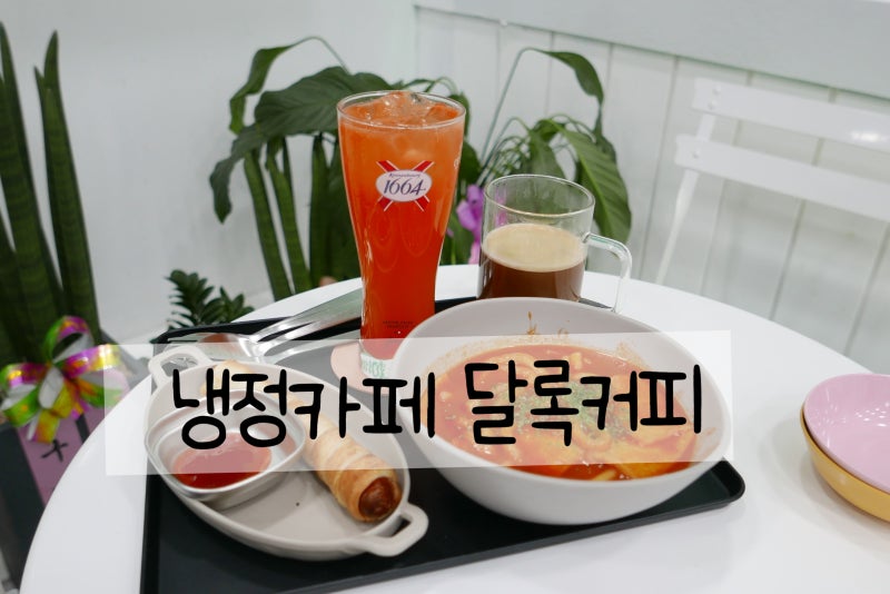 사진 5