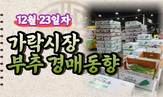  [경매사 일일보고] 12월 23일자 가락시장 "부추" 경매동향을 살펴보겠습니다!