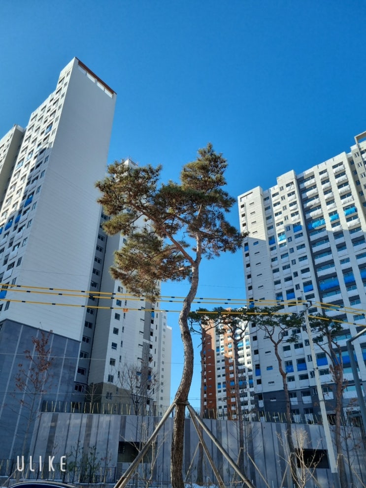  공법/도시·군관리계획/용도지역/행위제한/건폐율