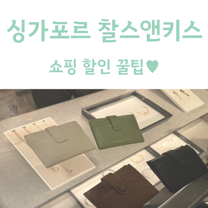  싱가포르 쇼핑리스트 - 찰스앤키스 (쇼핑 할인 꿀팁)