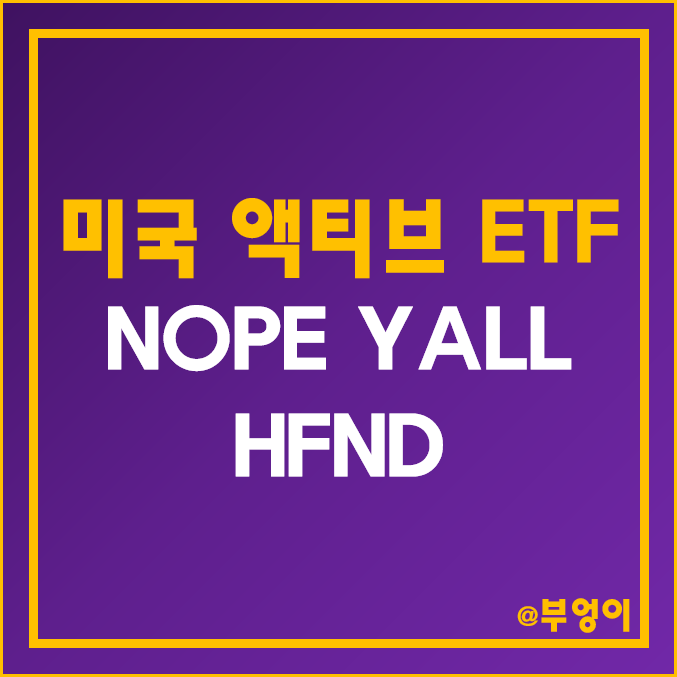 미국 신규 액티브 ETF - NOPE, YALL, HFND 주가 미국 신규 액티브 ETF - NOPE, YALL, HFND 주가