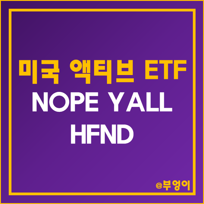 미국 신규 액티브 ETF - NOPE, YALL, HFND 주가