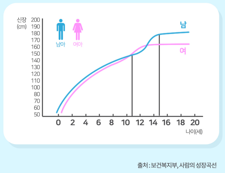  초등, 중등, 고등학생 아이커 섭취 효과 궁금?
