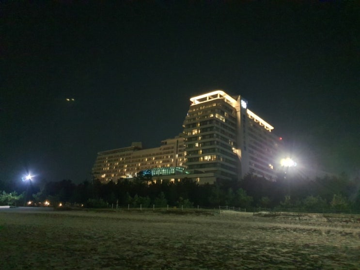  강릉 세인트존스 카페 앙빵 베이커리 조식 시간 위치 애견운동장