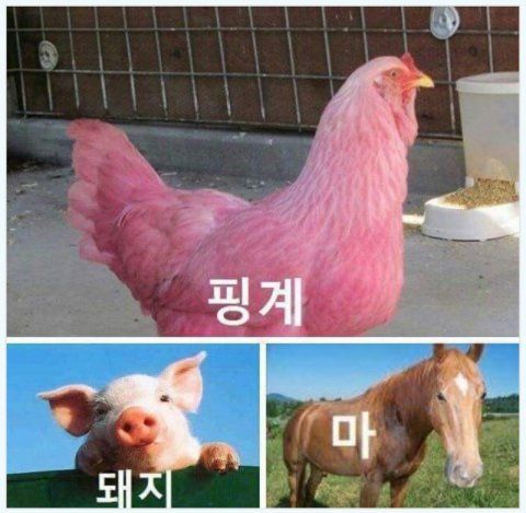  글을.. 써야 하는데..