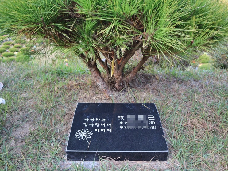  가족묘와 수목장 비석 알아볼게요