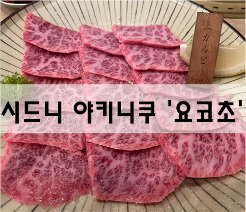 시드니 일본식 고기구이 야키니쿠 '요코초'[호주여행]