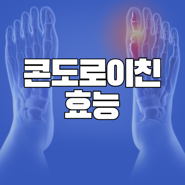 콘도로이친 효능 알아보고 콘드로이친 부작용 주의하여 관절건강 지키세요