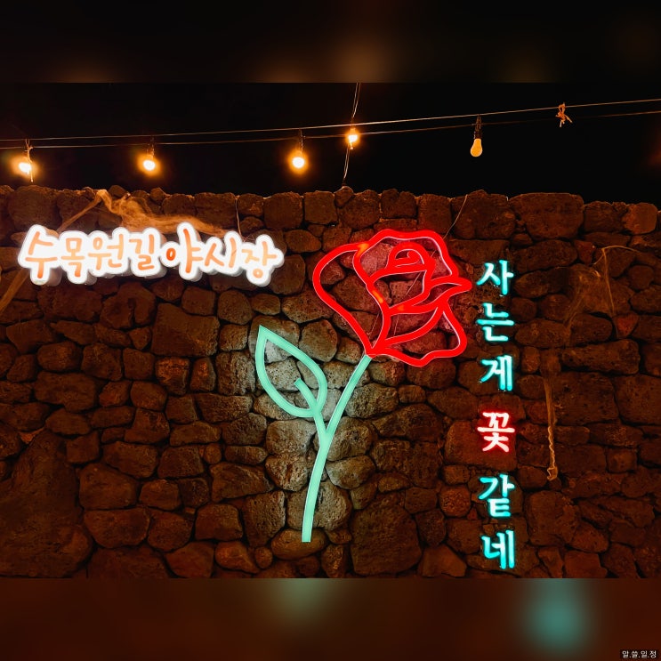  한라산 수목원길 야시장 - 제주도 밤에 가볼만한 곳