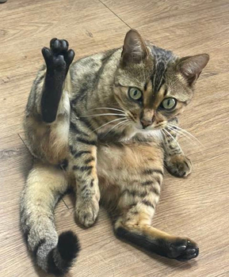  월요병이 없어(요)