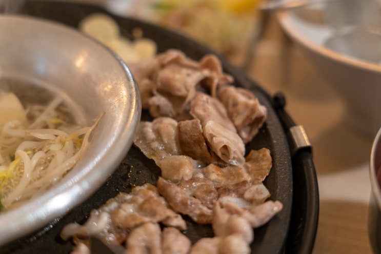 광주 동명동 맛집 :: 샤브렐라 월남쌈 삼겹구이 샤브샤브 내돈내산 솔직후기
