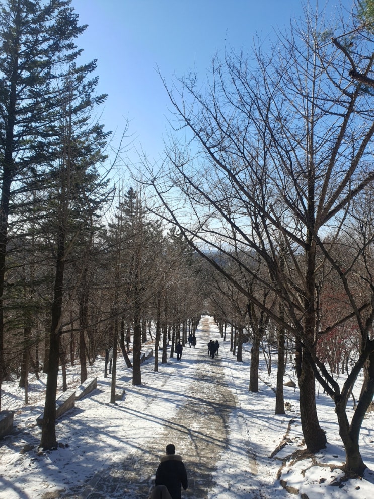 소백산자락 영주 겨울여행 가볼만한곳 부석사 소백산자락 영주 겨울여행 가볼만한곳 부석사