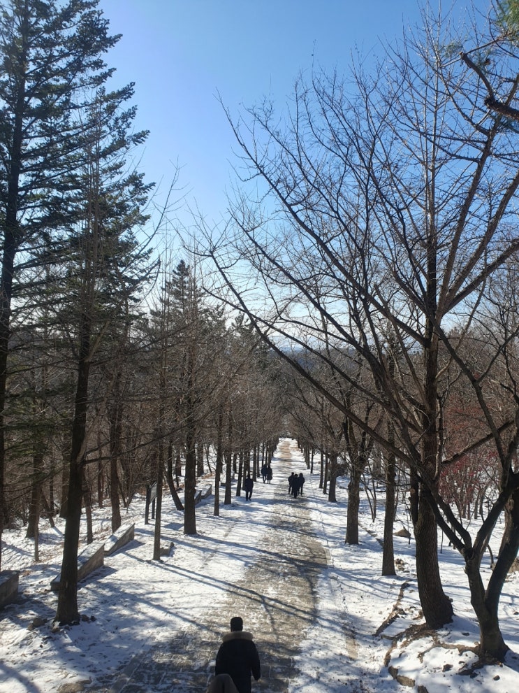 소백산자락 영주 겨울여행 가볼만한곳 부석사