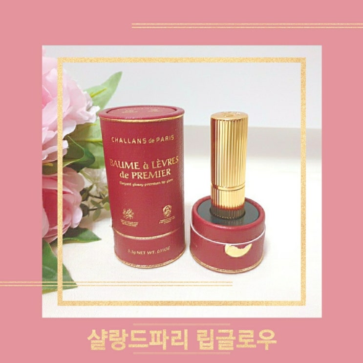  샬롱드파리 플럼핑 립글로우 건조한 겨울 립밤추천