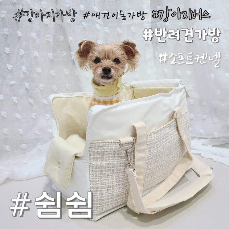  강아지 버스 가능한 소프트켄넬 쉼쉼 반려견 가방