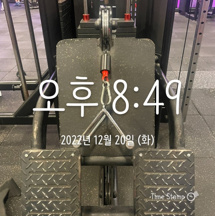  오운완 챌린지 Part 32. (22/12/20)