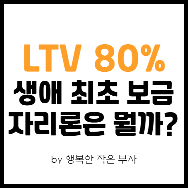 내 집 마련 이야기_디딤돌이 안 되면, LTV 80% 생애 최초 보금자리론은?