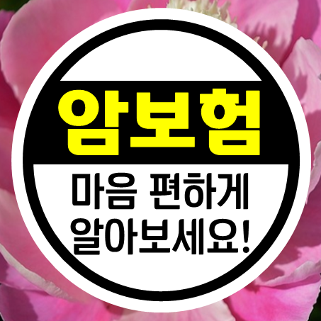  실버암보험 너무 비싸면 어쩌나 걱정된다고요?