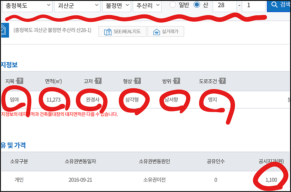 만년지 사진 4