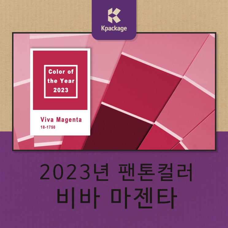 2023년 팬톤 컬러, 비바 마젠타 비하인드 스토리!