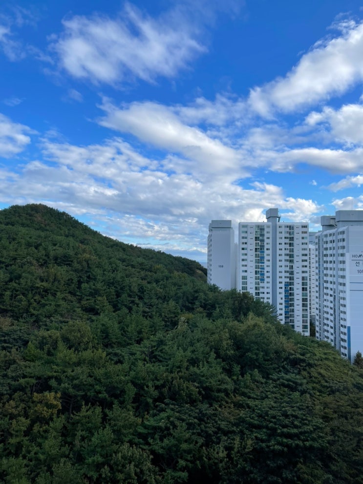  내가 좋아하는 우리집 마운틴뷰와 코딱지만한 바다뷰️
